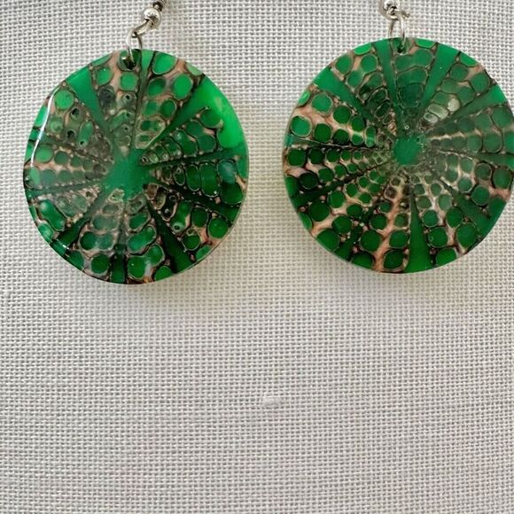 Green and brown shell round earrings - Picture 1 of 12